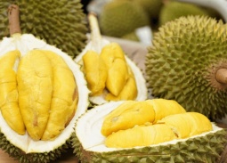 Sầu riêng, cà phê bứt phá đưa kim ngạch xuất khẩu toàn ngành tiến sát kỷ lục 