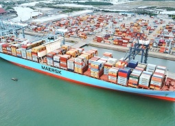 Giải cứu thành công gần 500 container chè Việt Nam bị kẹt tại cảng Karachi, Pakistan