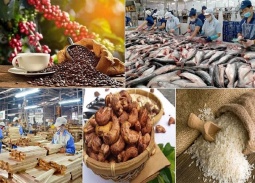 Xuất khẩu nông lâm thủy sản lập đỉnh 70 tỷ USD, khẳng định vị thế 'trụ đỡ' nền kinh tế