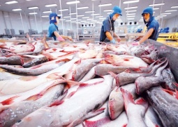 Xuất khẩu thủy sản 2025 tăng 13% so với cùng kỳ