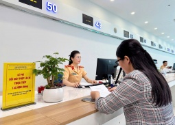 Công an Quảng Ninh cảnh báo thủ đoạn “cò mồi” cấp đổi giấy phép lái xe