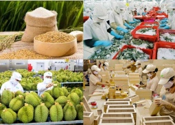 Năm 2026, cả nước phấn đấu xuất siêu trên 23 tỷ USD