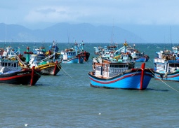 Kiên quyết gỡ 'Thẻ vàng', bảo vệ uy tín quốc gia và sinh kế bền vững cho ngư dân