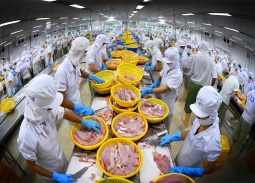 Ngành thủy sản Việt Nam lập kỷ lục 11,3 tỷ USD trong năm 2025