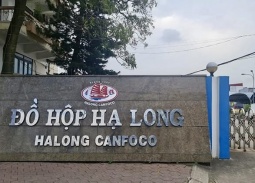 Hải Phòng: Khởi tố Tổng Giám đốc Công ty Cổ phần Đồ hộp Hạ Long 