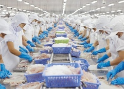 Top 10 doanh nghiệp xuất khẩu thủy sản lớn nhất năm 2025