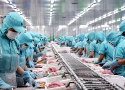 Xuất khẩu thủy sản Việt Nam bước vào giai đoạn mới