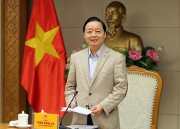 Siết chặt quản lý xe khách giường nằm 2 tầng, xe điện bốn bánh