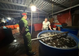 TP.HCM: Triệt phá đường dây ngâm 3.000 tấn ốc bươu bằng hóa chất