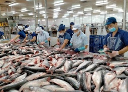Xuất khẩu cá tra và surimi  - 'chìa khóa' bứt phá thị trường năm 2026