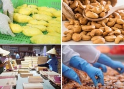 Ngành Nông nghiệp và Môi trường đặt mục tiêu xuất khẩu 74 tỷ USD trong năm 2026