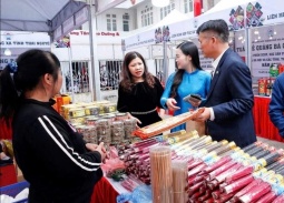 Hà Nội: Khai mạc Triển lãm thủ công mỹ nghệ sáng tạo phục vụ Xuân Bính Ngọ 2026