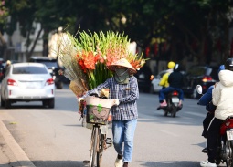 Dự báo thời tiết ngày 30/1: Bắc Bộ có sương mù rải rác, trưa chiều hửng nắng
