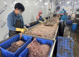 Thu giữ gần 60 tấn lòng lợn đổi màu, bốc mùi hôi thối ở Hà Nội