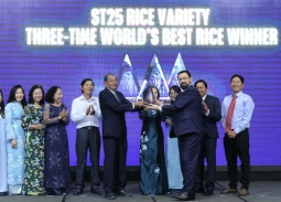 Gạo ST25 lần thứ 3 được vinh danh 'Gạo ngon nhất thế giới'