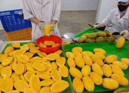 Nông sản Việt trước “làn sóng” kiểm soát mới từ Ba Lan và EU