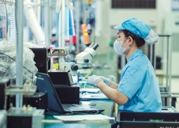 Chính phủ ban hành Kế hoạch triển khai thi hành Luật Công nghệ cao