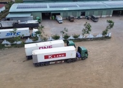 Hải quan triển khai trực 24/7: Ưu tiên thông quan thực phẩm nhập khẩu dịp cao điểm cuối năm