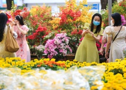 ROX Living Diễn Châu: Điểm hẹn lễ hội và không gian sống – kinh doanh mới của Bắc Nghệ An