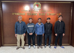 Thanh Hóa: Khởi tố, bắt giam 5 đối tượng mua bán, vận chuyển heo bệnh dịch tả châu Phi