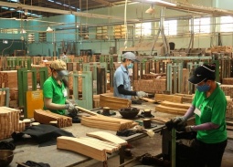 Ngành gỗ Việt Nam và bài toán thích ứng trước lộ trình EUDR