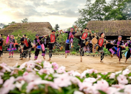 Gợi ý những điểm du xuân miền Bắc dịp Tết Bính Ngọ 2026