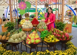 Hội chợ Mùa Xuân 2026 thu hút 500.000 lượt khách, khẳng định vị thế hàng Việt