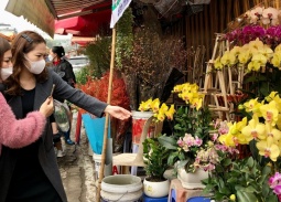 Dự báo thời tiết ngày 14/2: Bắc Bộ sáng sớm có sương mù nhẹ rải rác, mưa nhỏ vài nơi