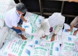 Xuất khẩu phân bón tăng hơn 70% ngay tháng đầu năm 2026