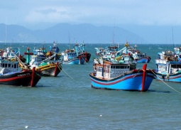 Quyết tâm gỡ 'thẻ vàng' IUU: Thủ tướng chỉ đạo tổng lực chuẩn bị đón Đoàn Thanh tra EC lần thứ 5