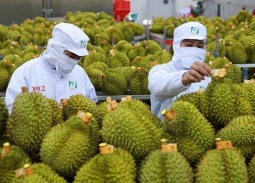 Nông lâm thủy sản tăng tốc ngay đầu năm, củng cố mục tiêu 75 tỷ USD