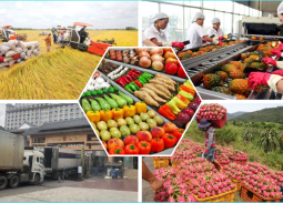 Xuất khẩu nông lâm thủy sản bứt phá trong 2 tháng đầu năm 2026