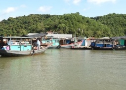 Quảng Ninh siết chặt quản lý đội tàu, quyết tâm cùng cả nước gỡ thẻ vàng EC