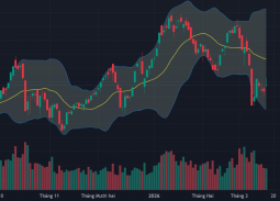 Cổ phiếu DGC bị bán tháo sau cú sốc khởi tố Chủ tịch Đào Hữu Huyền