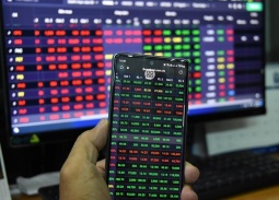 Cổ phiếu HVA – doanh nghiệp liên quan ONUS, HanaGold 'rơi thẳng đứng'