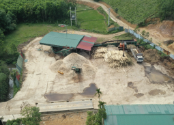 Hoá Quỳ (Thanh Hoá): Yêu cầu cơ sở chế biến gỗ vi phạm dừng hoạt động