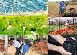 Ngành nông nghiệp chủ động chuyển đổi xanh để 'vượt sóng' biến động toàn cầu