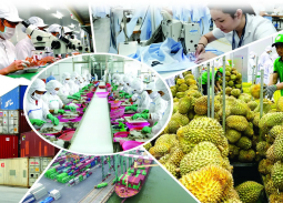 'Quốc gia đáng tin': Điểm tựa cho thương hiệu Việt vươn ra thế giới