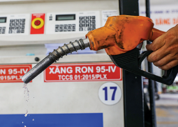 Đề xuất Quốc hội miễn thuế xăng dầu đến hết 30/6/2026