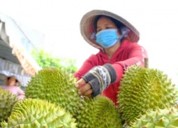 Xuất khẩu rau quả tăng tốc, đối mặt áp lực chi phí