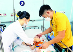 Bệnh tay chân miệng tăng cao, Bộ Y tế cảnh báo khẩn về virus EV71