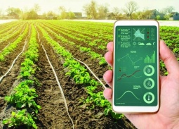 Mô hình đột phá và hành trình chuyển đổi số toàn diện của ngành nông nghiệp