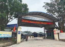 Vụ tiêu thụ 300 tấn lợn bệnh: Cục Chăn nuôi và Thú y sẽ lập đoàn kiểm tra các cơ sở giết mổ 