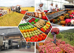 Nông sản Việt và bài toán xây dựng thương hiệu giá trị cao trên toàn cầu