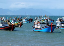 Tập trung triển khai Hệ thống eCDT: Giải pháp then chốt để gỡ “thẻ vàng” IUU