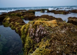 Đảo tiền tiêu Cồn Cỏ - “viên ngọc thô” của tỉnh Quảng Trị