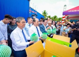 Việt Nam xuất khẩu chính ngạch lô bưởi da xanh đầu tiên sang Australia