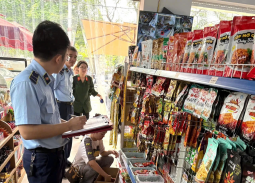 Thanh Hóa: Thu giữ gần 1.000 sản phẩm thực phẩm sụn gà, cánh gà nghi nhập lậu