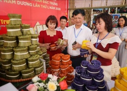 Bắc Ninh khai mạc Ngày hội làng nghề Nam Dương