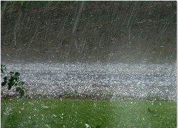 Thời tiết ngày 25/4: Nhiều nơi có mưa